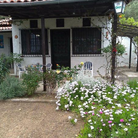 Willa Persefoni House Afissos Zewnętrze zdjęcie