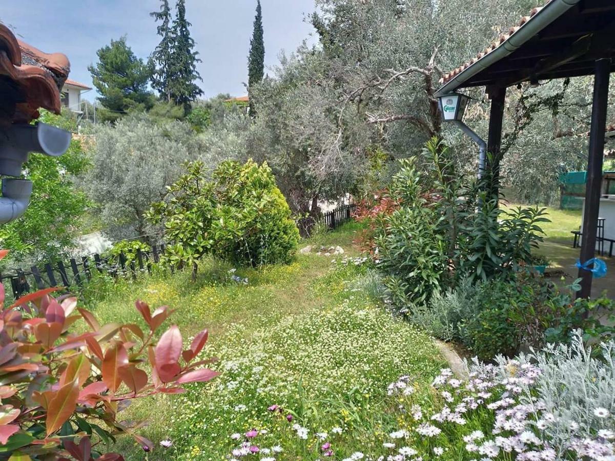 Willa Persefoni House Afissos Zewnętrze zdjęcie